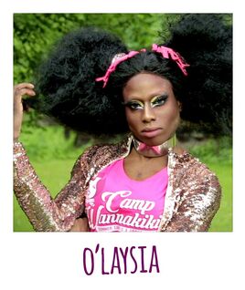 Polaroid-olaysia