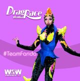 #TeamFarida Promo
