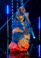 Sea Creature Couture Look – Mandarinfish