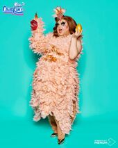 Arriba La Pluma Look