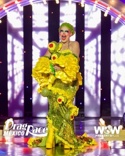 SuculentaDRMX2FairGamesLook