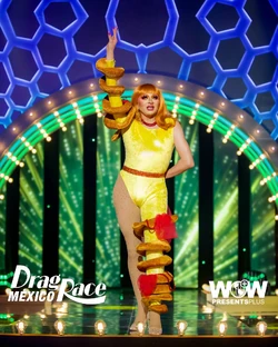 LunaLansmanDRMX2FairFoodLook