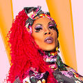 House of Harmonie - Drag Defender