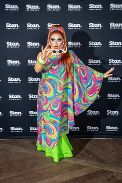 BrendaBressedPressLook