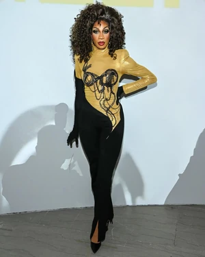 RobinFierceS15BrooklynMuseumLook