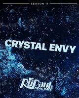 Custom Logo