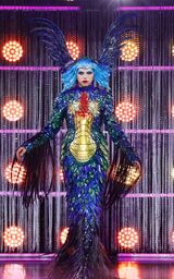 Eleganza Extravaganza Look
