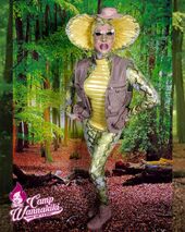 Welcome to the Jungle Look
