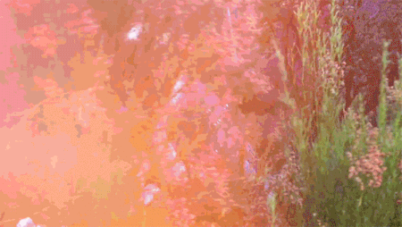 AbhoraCabinLook