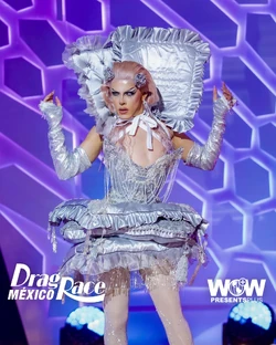 GarçonneDRMX2SilverLook