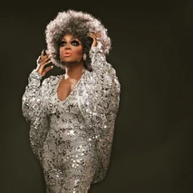 Look no emitido de 'Silver Foxy'