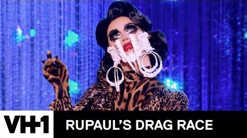 Best of Aquaria Season 10