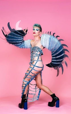 SusanDRBE2TalentShowGuestLook
