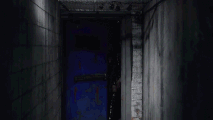 Entrance Look