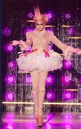 Tutu Much Look