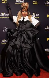 Premiere Look