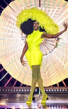 BlackPeppaNeonNightsLook