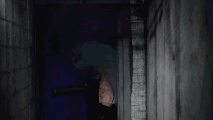 Entrance Look