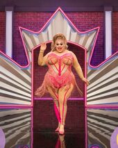 Razzle Dazzle Look