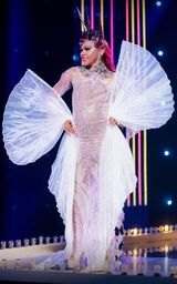 Eleganza Extravaganza Look