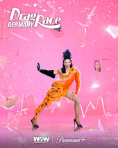 Promo Look