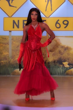 HollywouldStarEntranceLook