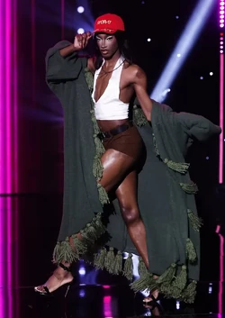LanaJa'RaeShortsLook