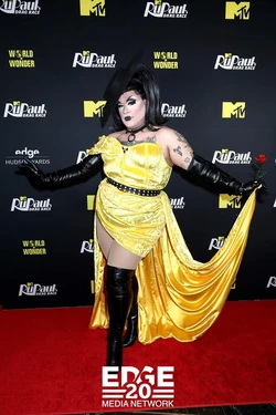 MegamiFinalePartyLook