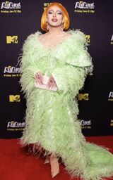 Premiere Look