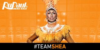#TeamShea Banner