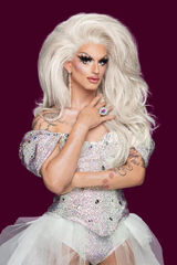 Promo Look