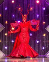 Coronation Eleganza Look