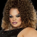 Stacy Layne Matthews, QNN News