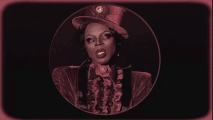 Re-Introduction Look