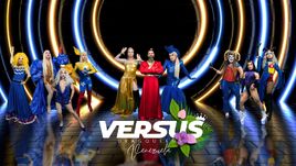 VSDQVES1
