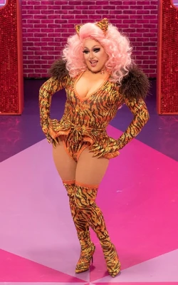 KittenKaboodleEntranceLook