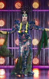 Eleganza Extravaganza Look