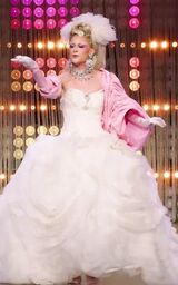 Eleganza Extravaganza Look