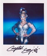Polaroid Promo
