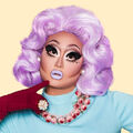 Kim Chi, Season 8