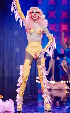 VivaldiTalentShowLook1