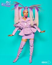 Peluca Palooza Look