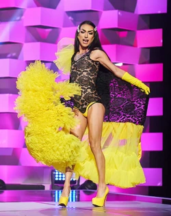 PakitaThree-In-OneLook3