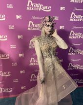 Premiere Look