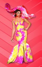 Entrance Look