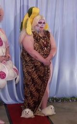 Campy Animal Look
