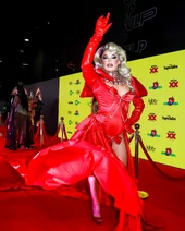 Look de la alfombra roja