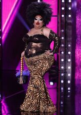 Eight Ball Eleganza Look