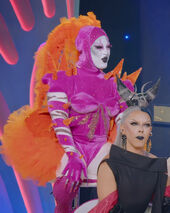 Reunion Look