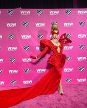 Viewing Party Look - Isabella